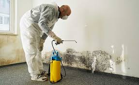 Best Biohazard Mold Removal  in Fort Myers Shores, FL